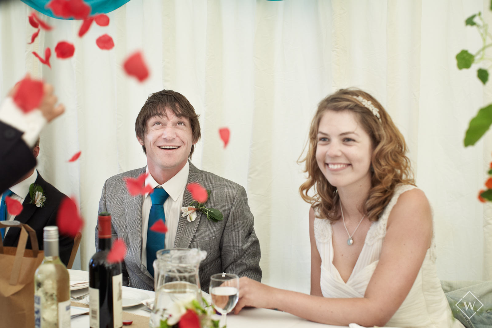 Swanage wedding photographer, Dorset