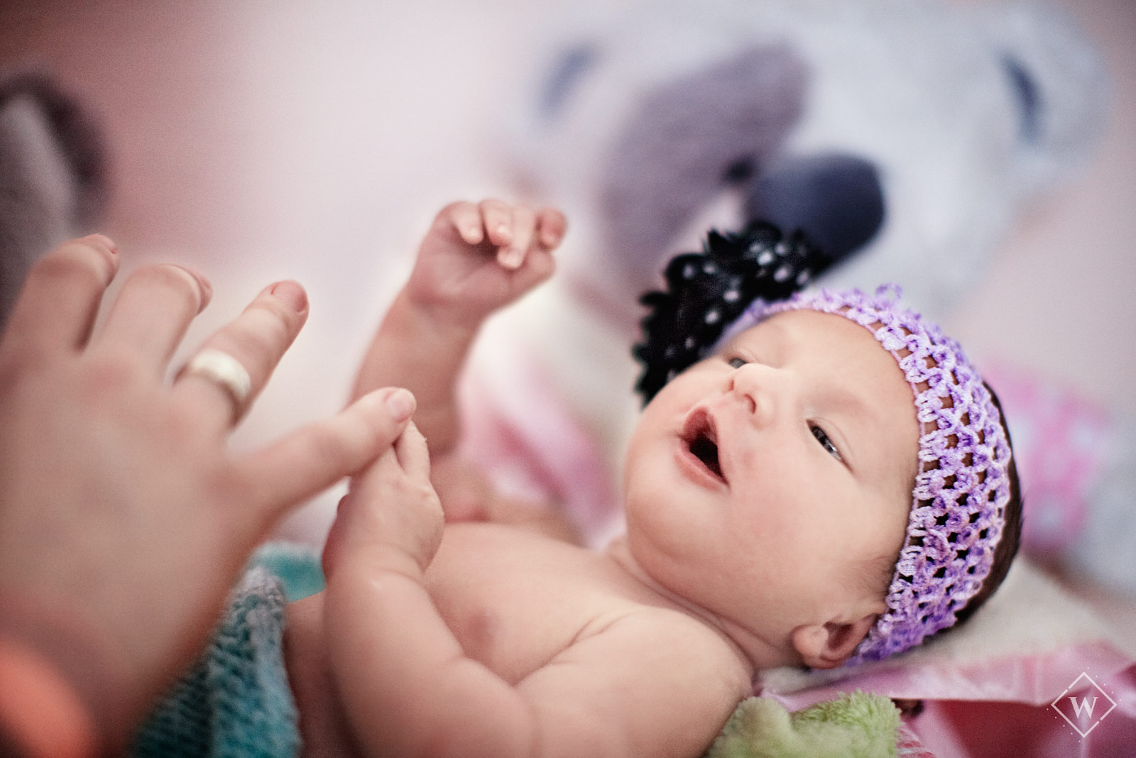 newborn photographer southampton