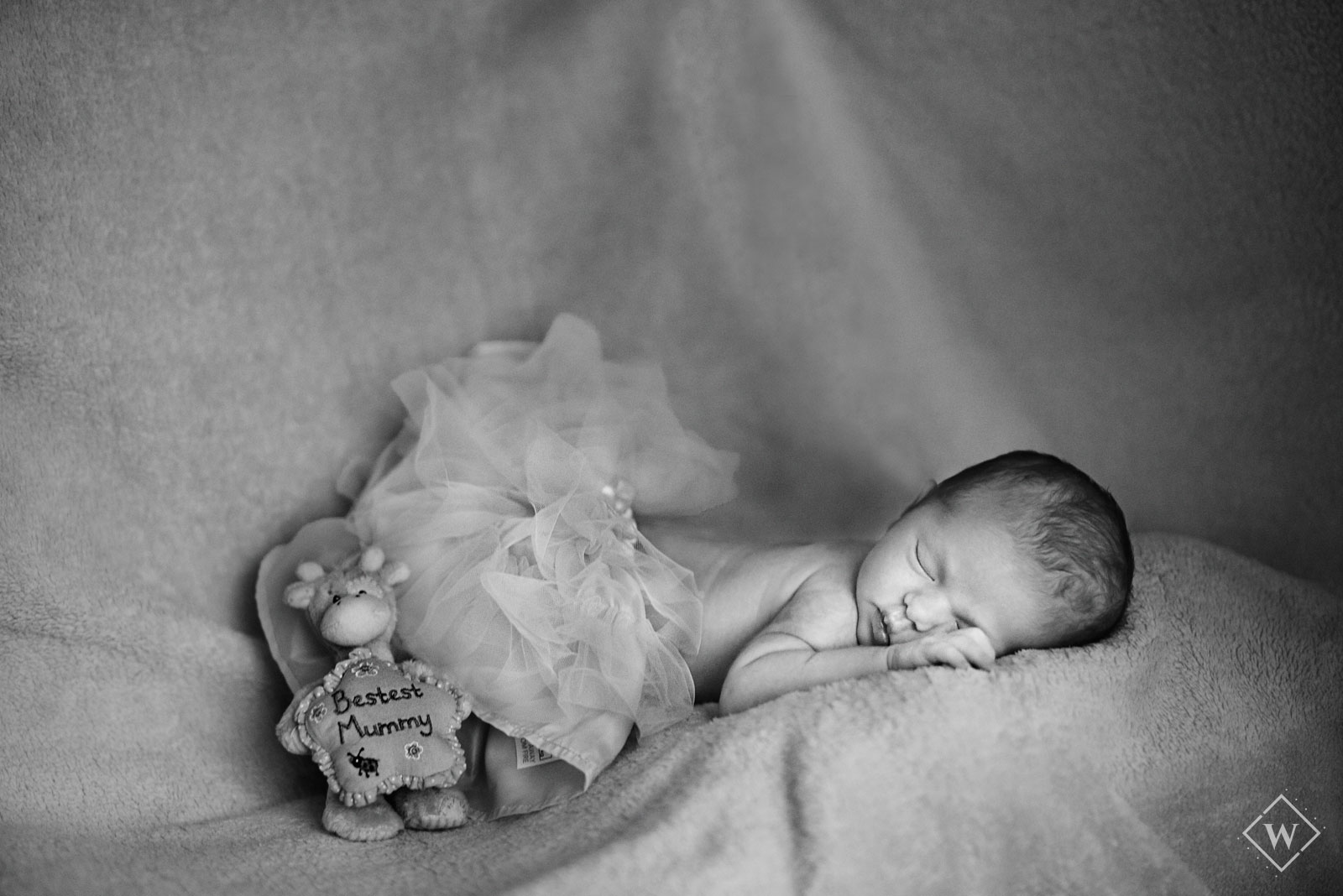 newborn photographer southampton