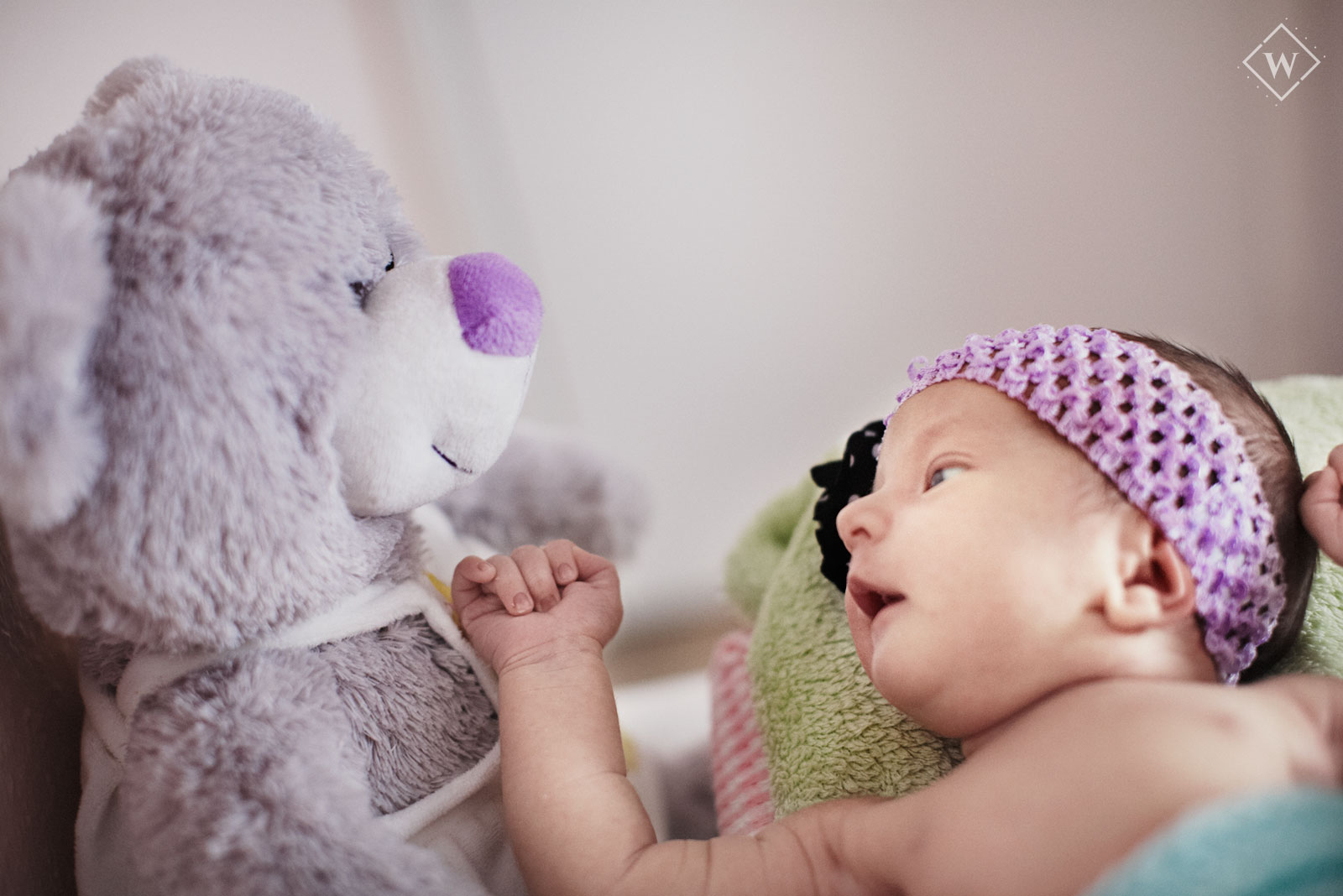 newborn photographer southampton