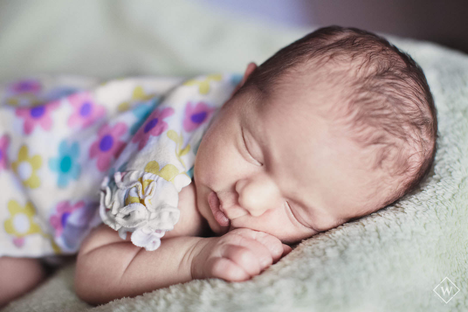 newborn photographer southampton
