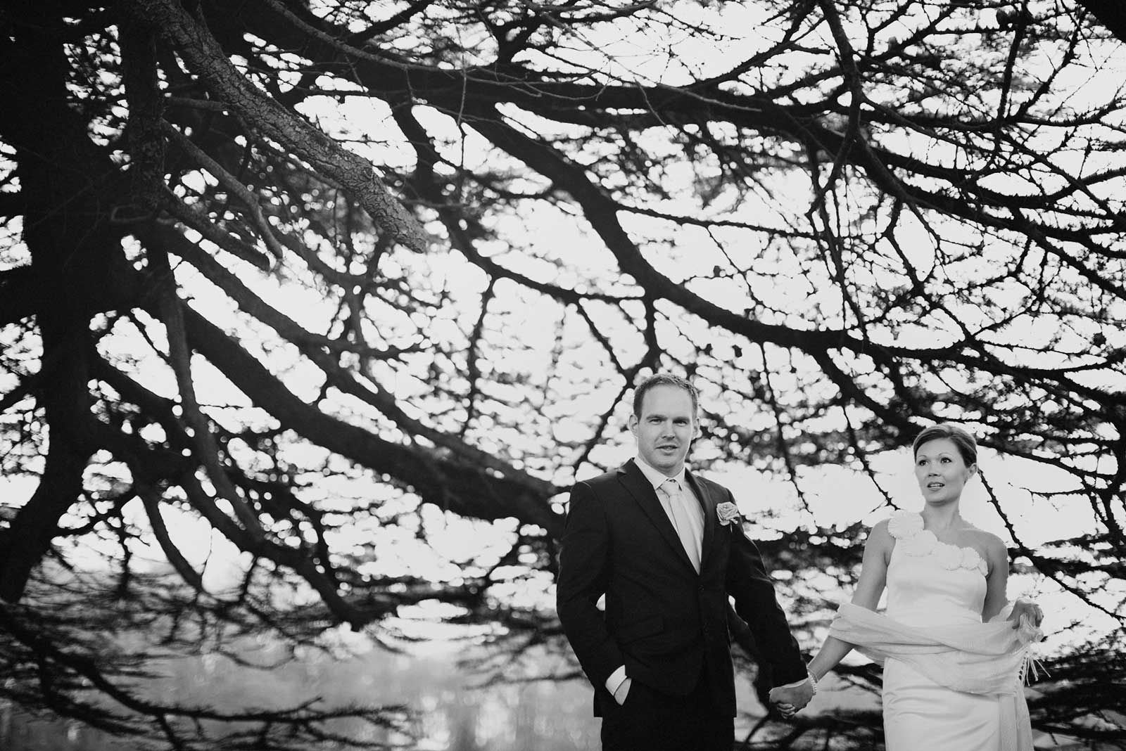 wedding photographer hampshire, marwell zoo